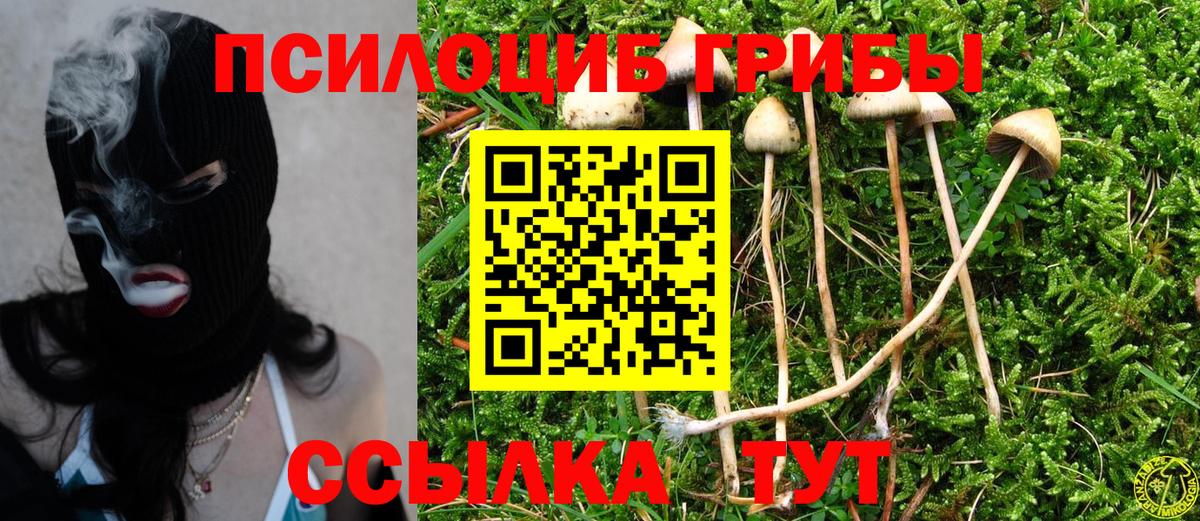 Псилоцибиновые грибы мухоморы Нижневартовск